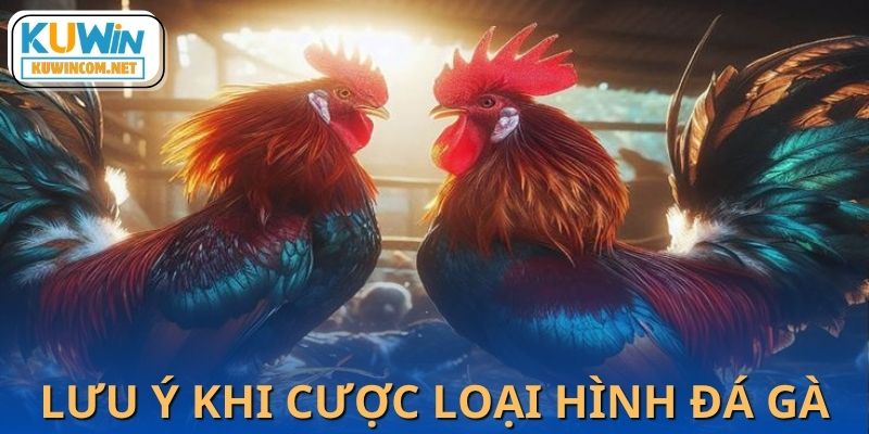 Chơi đá gà Thomo cũng cần để ý nội quy riêng của nhà cái